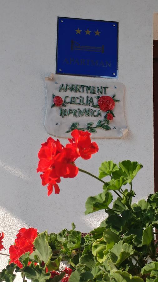 Apartment Cecilia Koprivnica Esterno foto